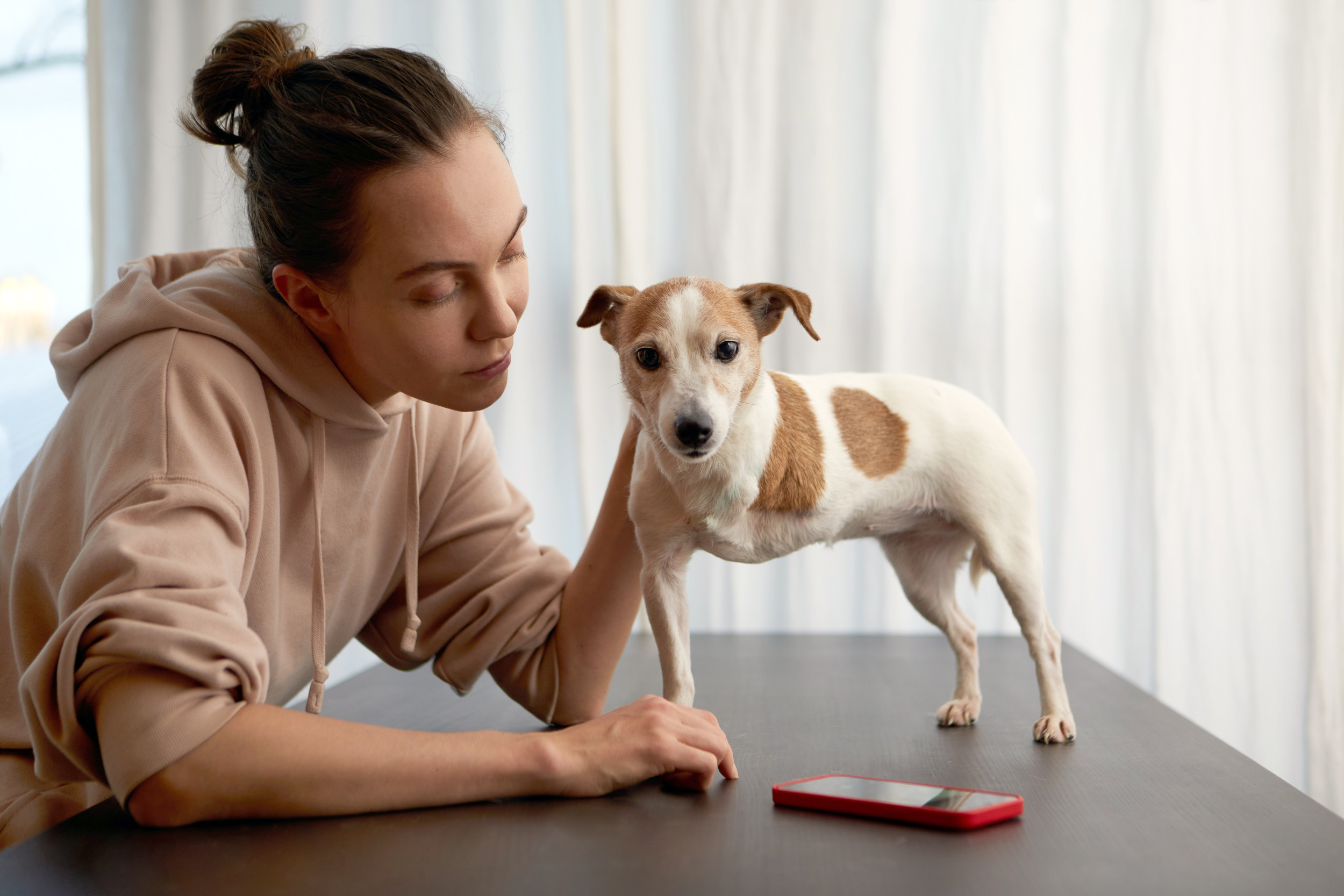 Hearts melt as amputee dog tries so hard to obey command: "A hero"