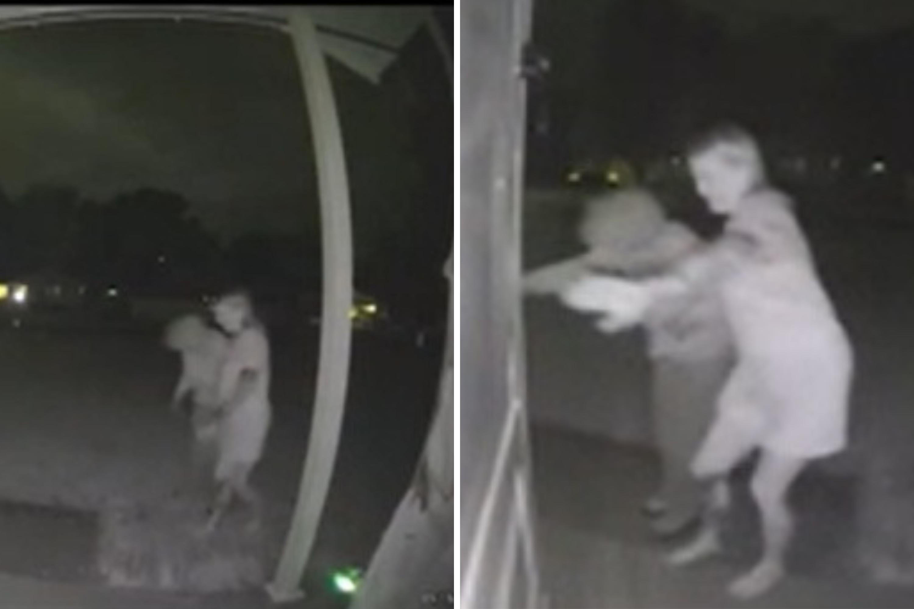 Doorbell Cam Films Woman Racing To Help 93-Year-Old Neighbor During Tornado