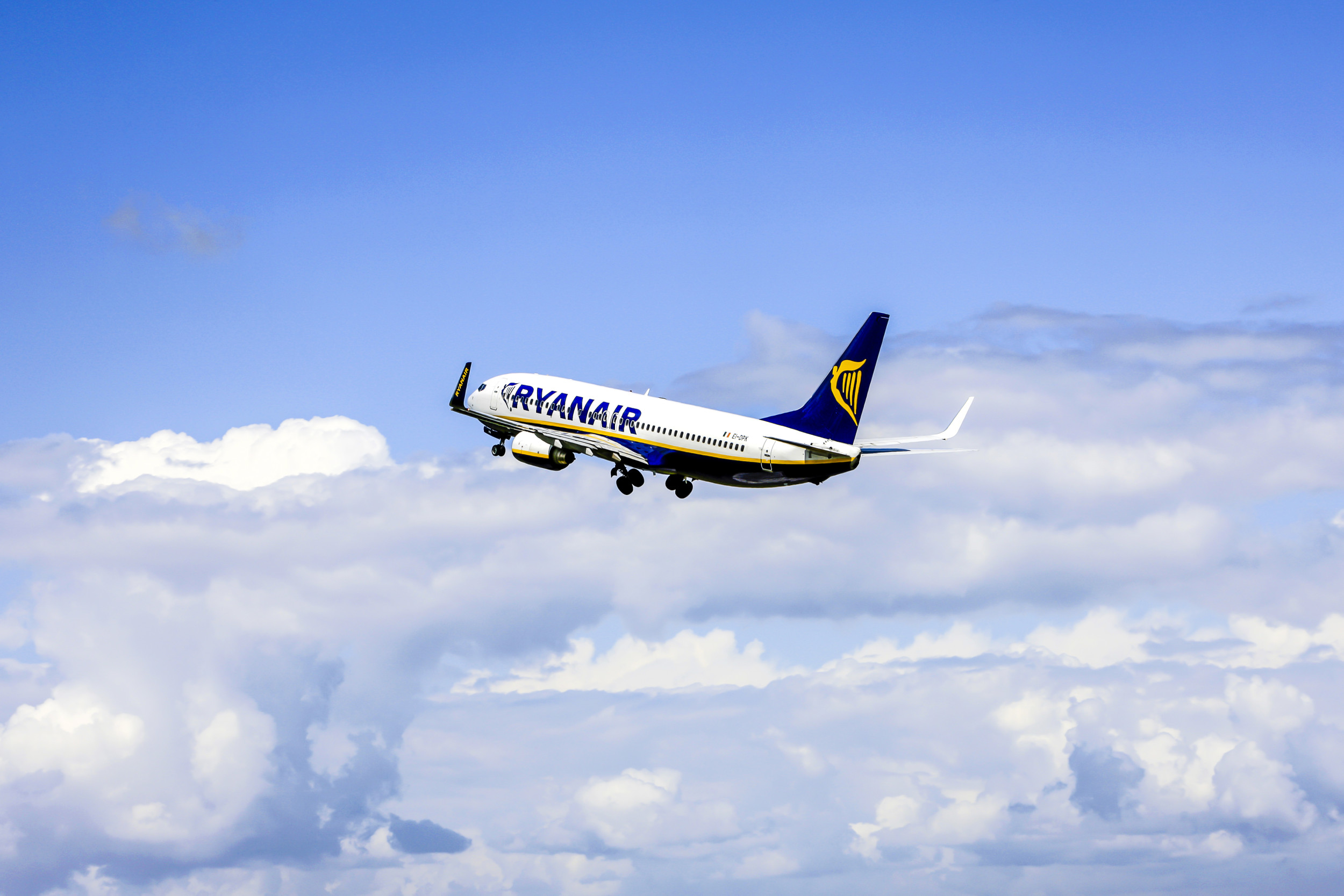 Popular Airline Is Forcing Some of Its Employees To Pay Them Back—Heres Why