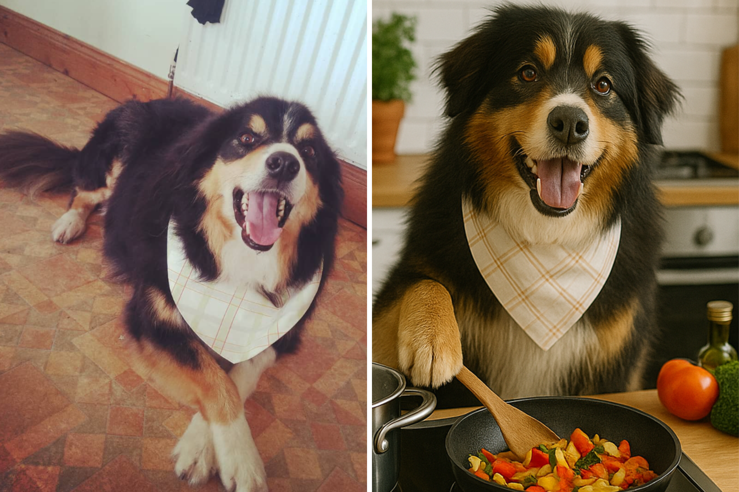 Dogs Are Cooking Up a Storm in New ChatGPT Image Trend