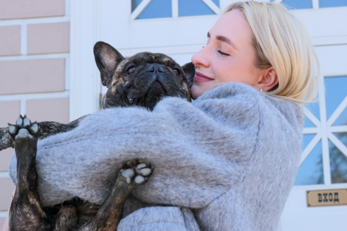 French bulldog and owner