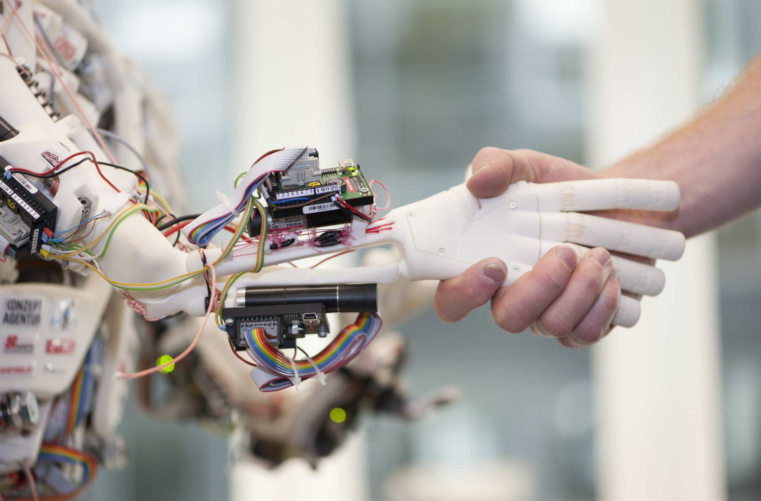 Do We Have a Moral Obligation To AI Because of Evolution? .. Opinion