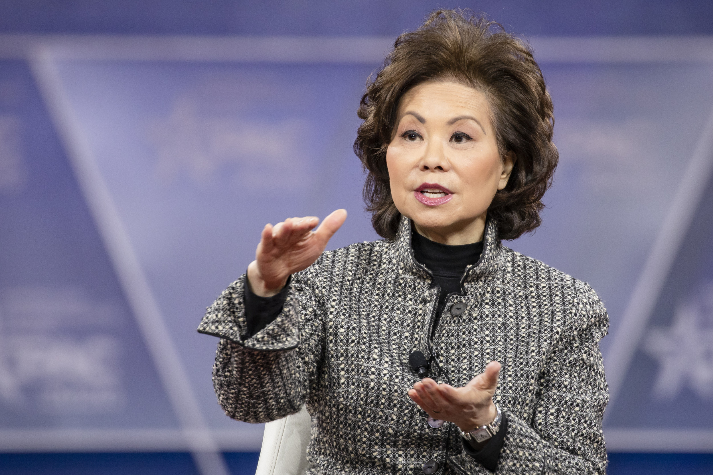 Elaine L. Chao: Our Air Traffic System Needs a Complete Overhaul. Immediate Relief Is in Reach .. Opinion