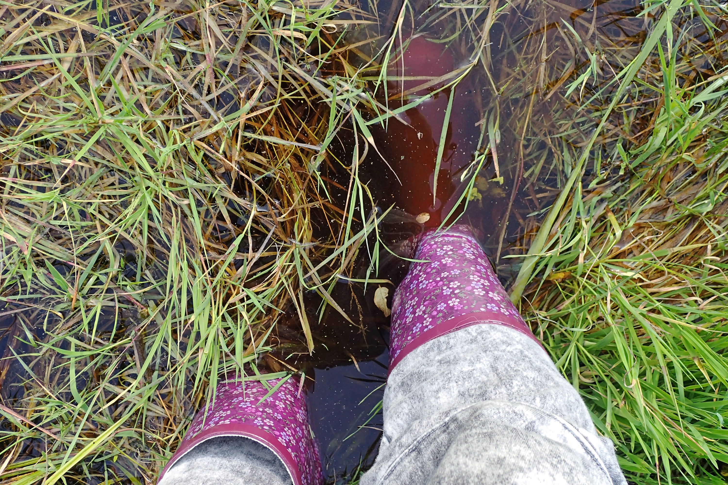 Heartbreak at What Woman Finds in Muddy Puddle: Poor Babies