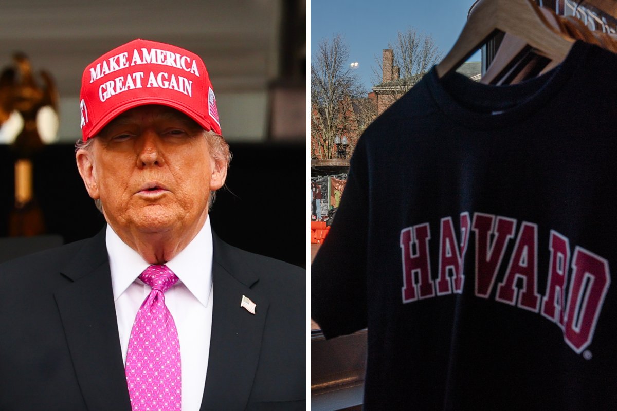 Donald Trump and a Harvard shirt 