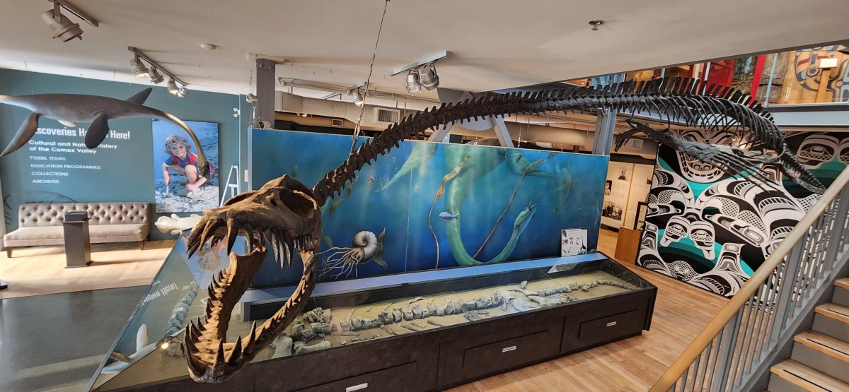 Traskasaura on display.