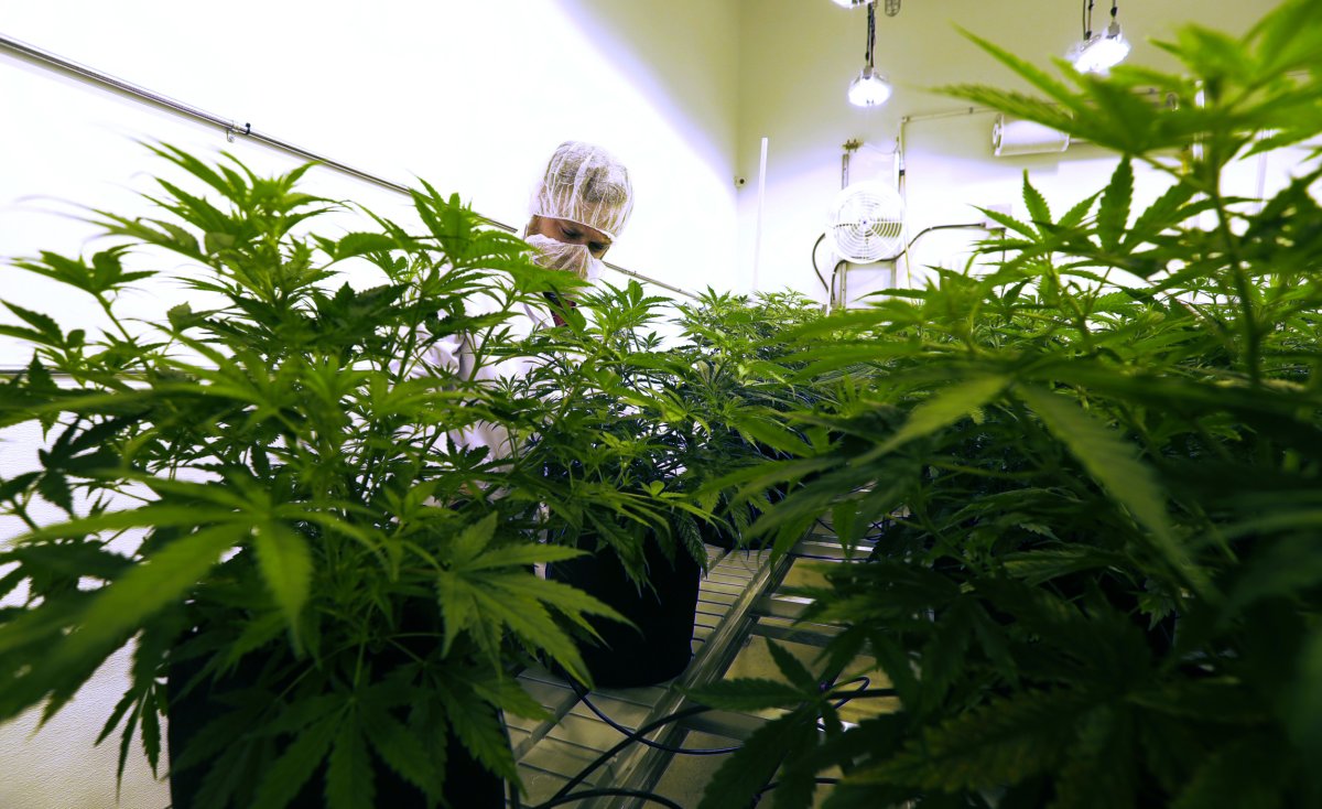 Legal Weed Texas