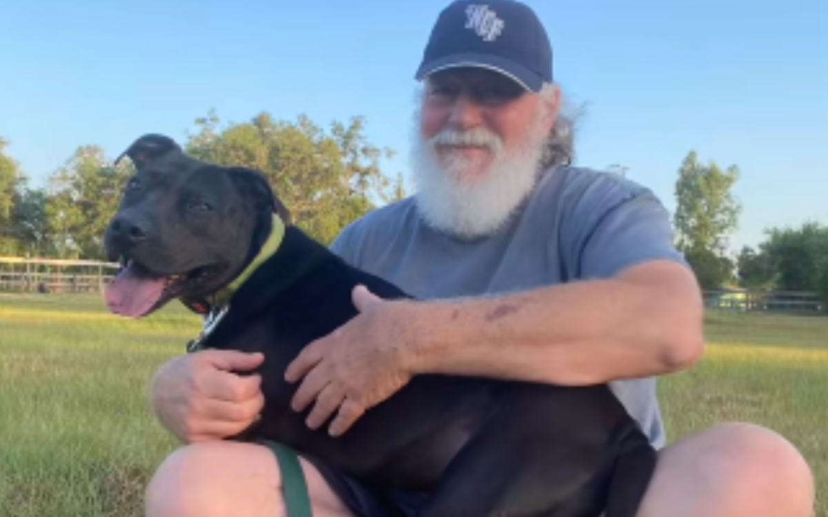 Dog Considered Unadoptable After 5 Years In Shelter Unrecognisable Today