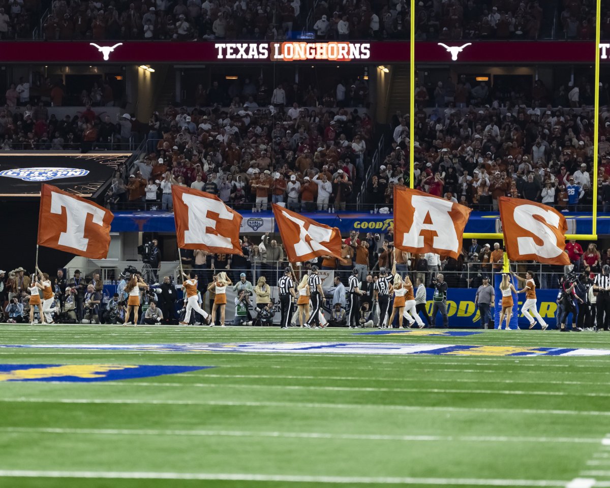 Texas longhorns