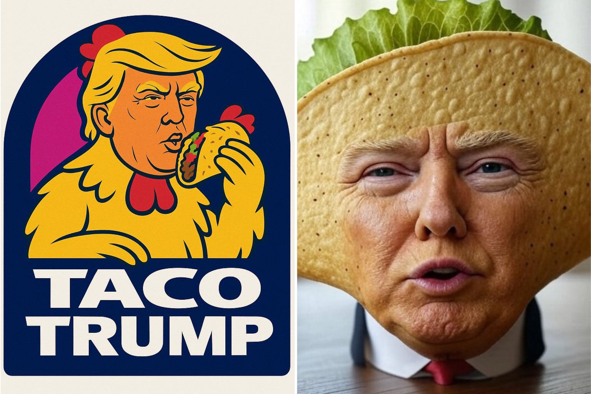 donald-trump-taco-memes.jpg