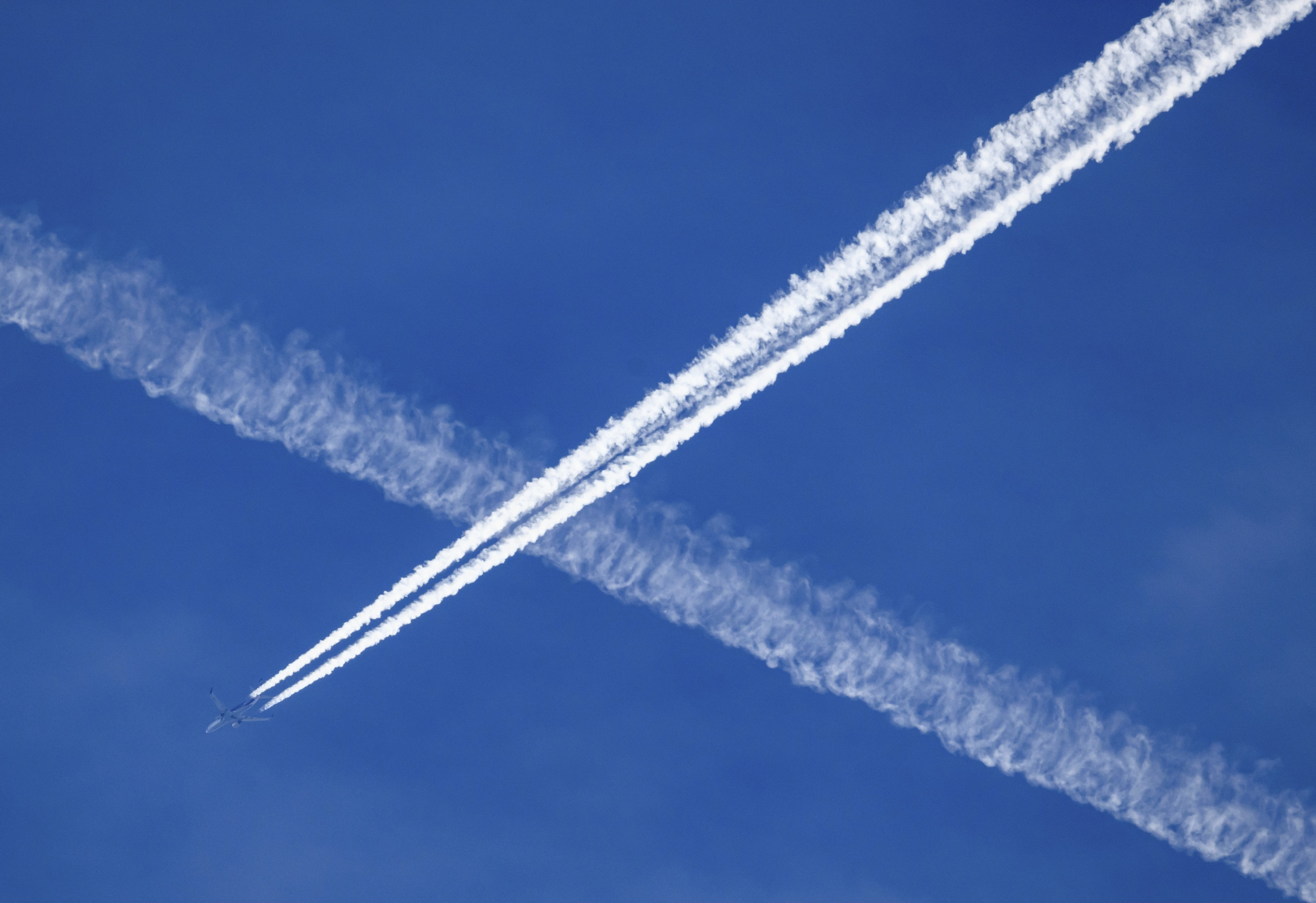 Louisiana passes bill to ban 'chemtrails'
