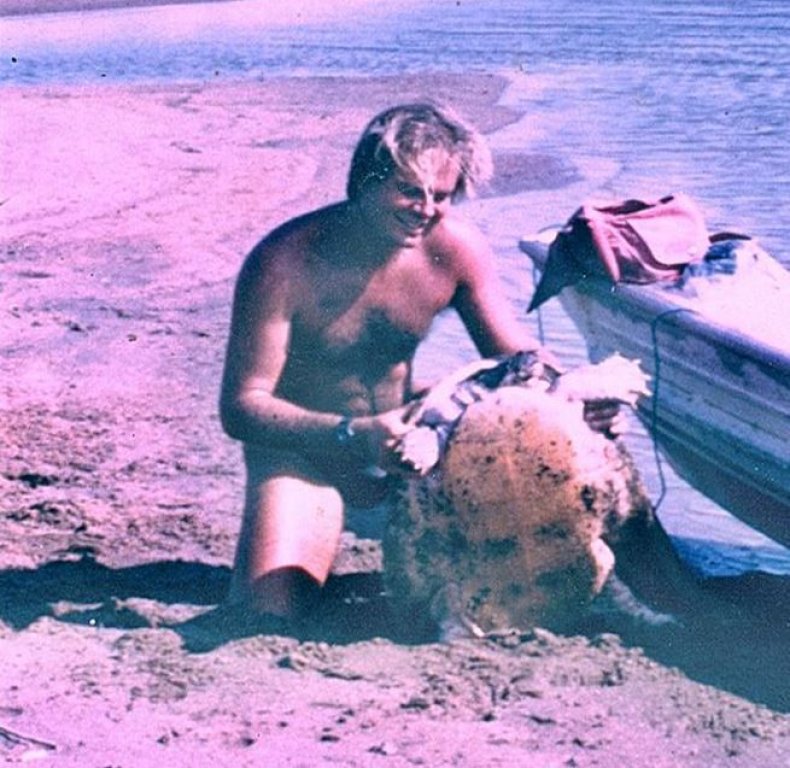vogt-turtle-shore