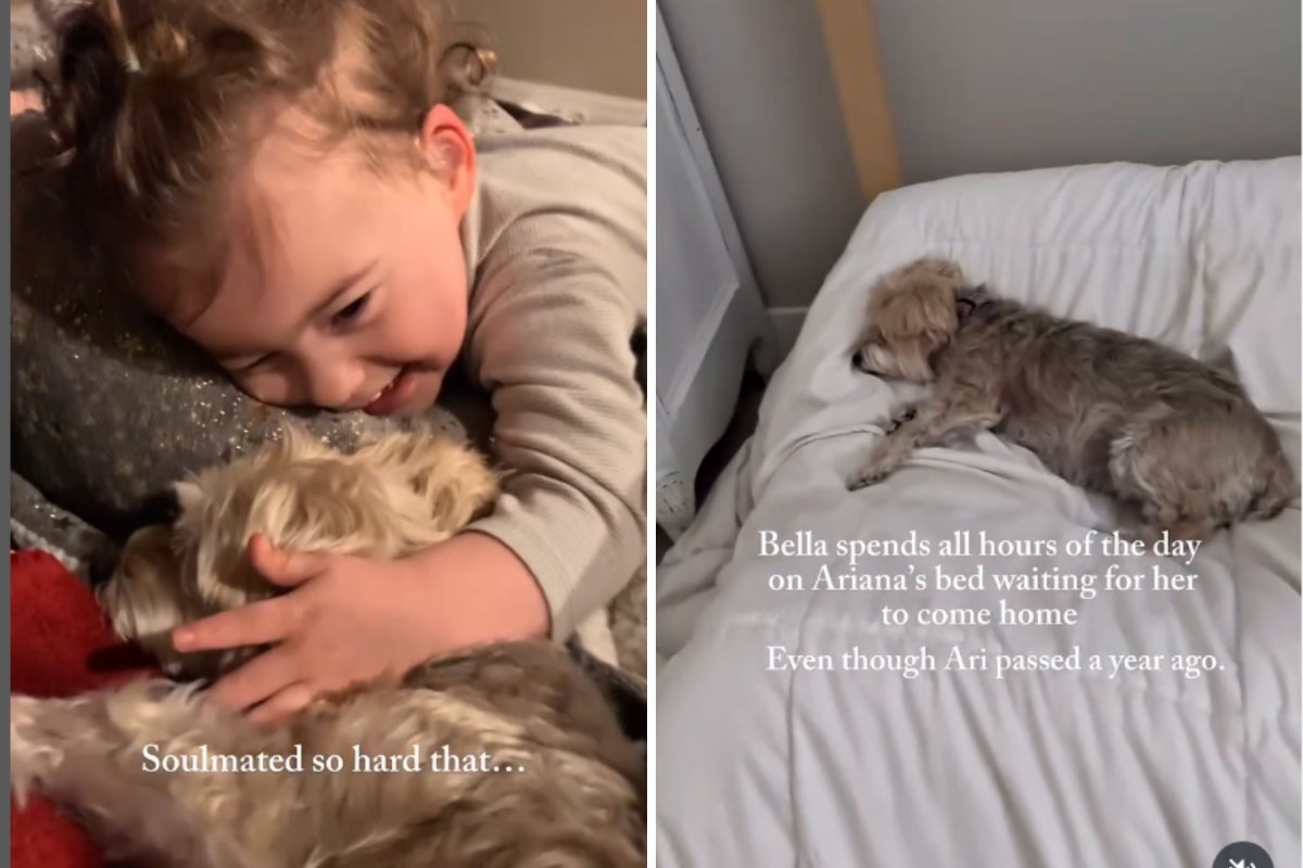Dog mourns loss of daughter