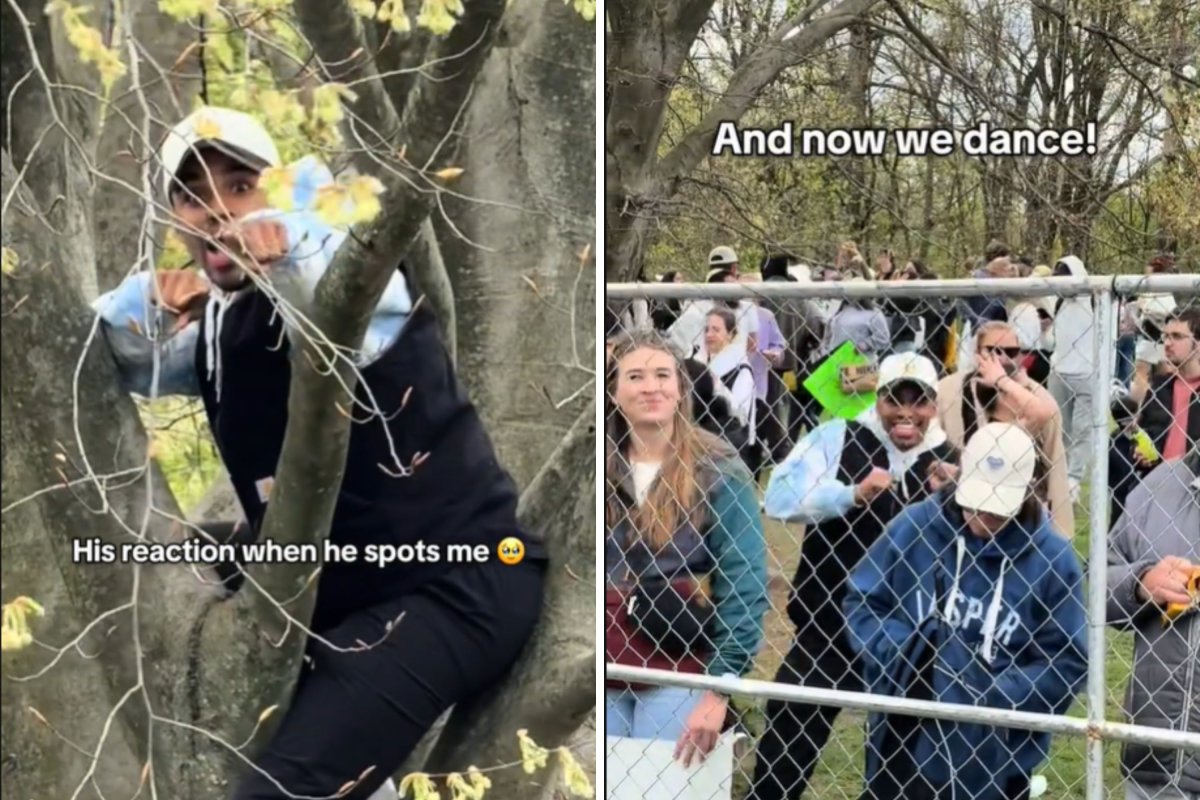 Photos from Aliana King's TikTok video
