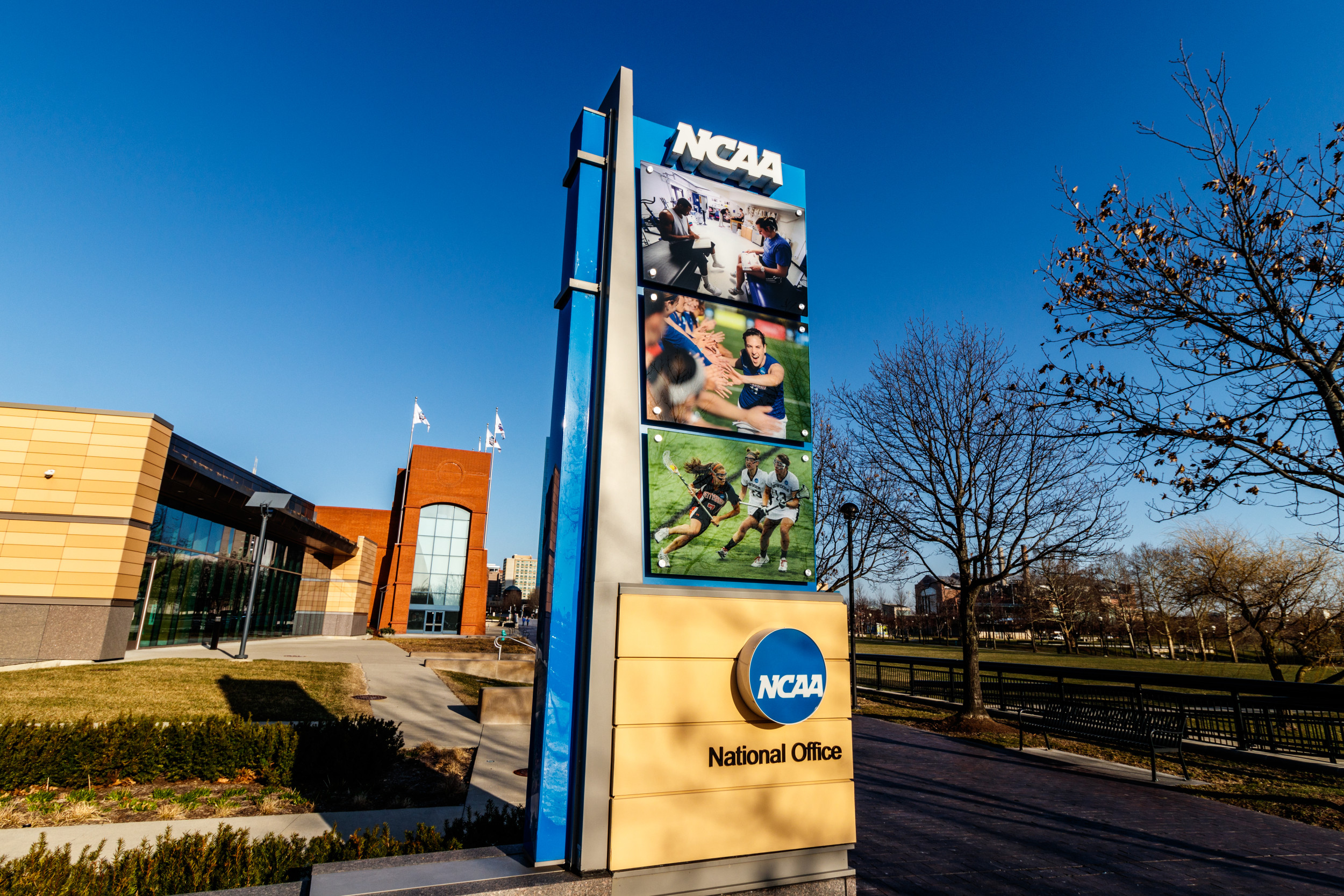 Some NCAA Athletes Can Now Be Paid by Schools: What to Know