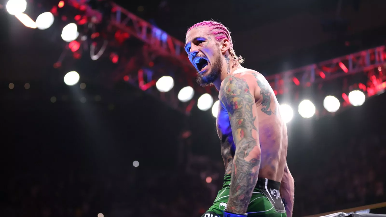 How to Watch Dvalishvili vs O'Malley 2: Live Stream UFC 316, TV Channel