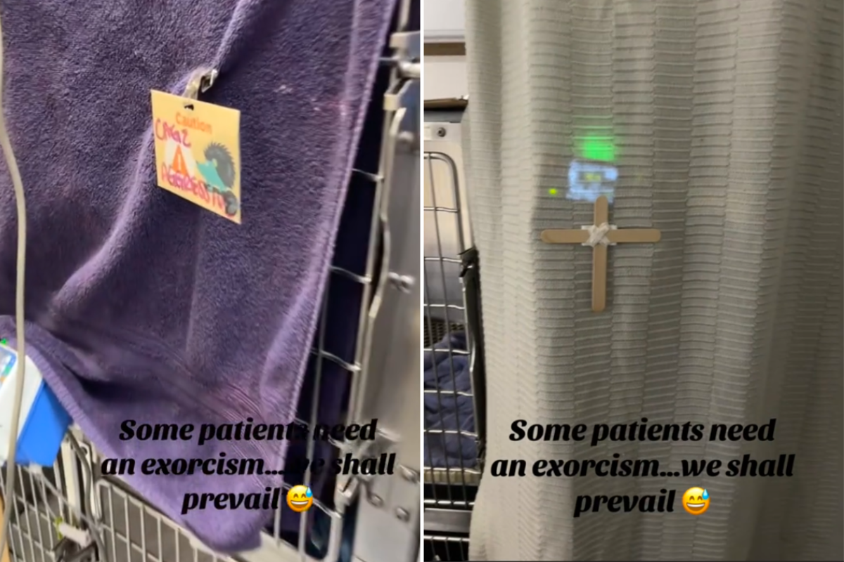 Internet Can’t Cope With What Vet Does for Patients Who ‘Need an Exorcism’