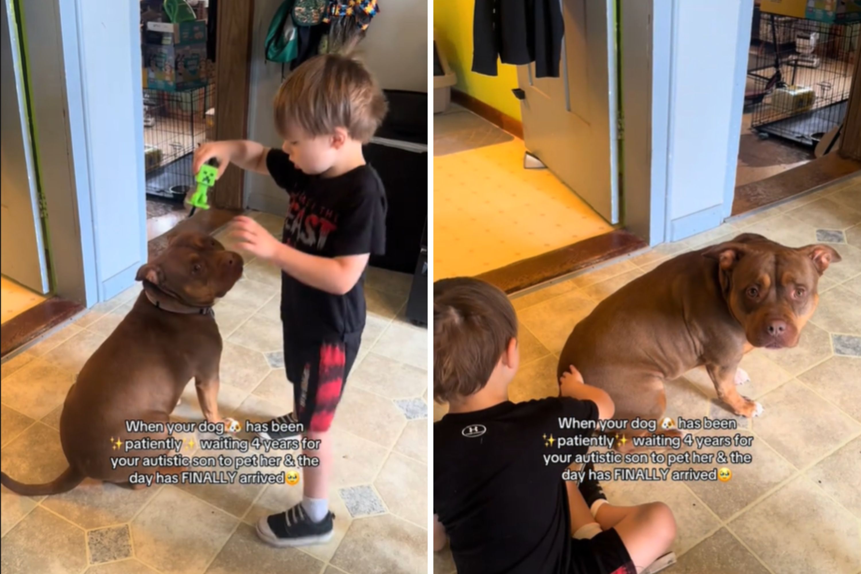 Mom Captures Moment Son With Autism Pets Dog for First Time in 4 Years