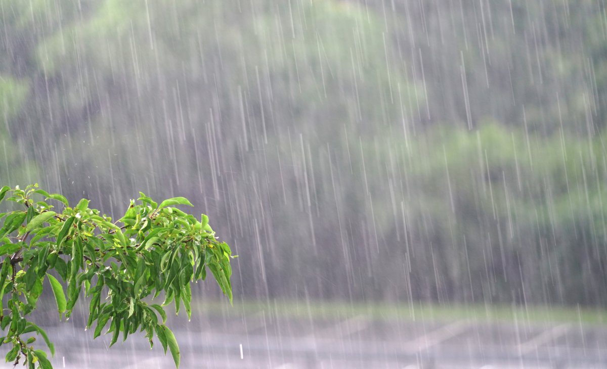 heavy rain west virginia