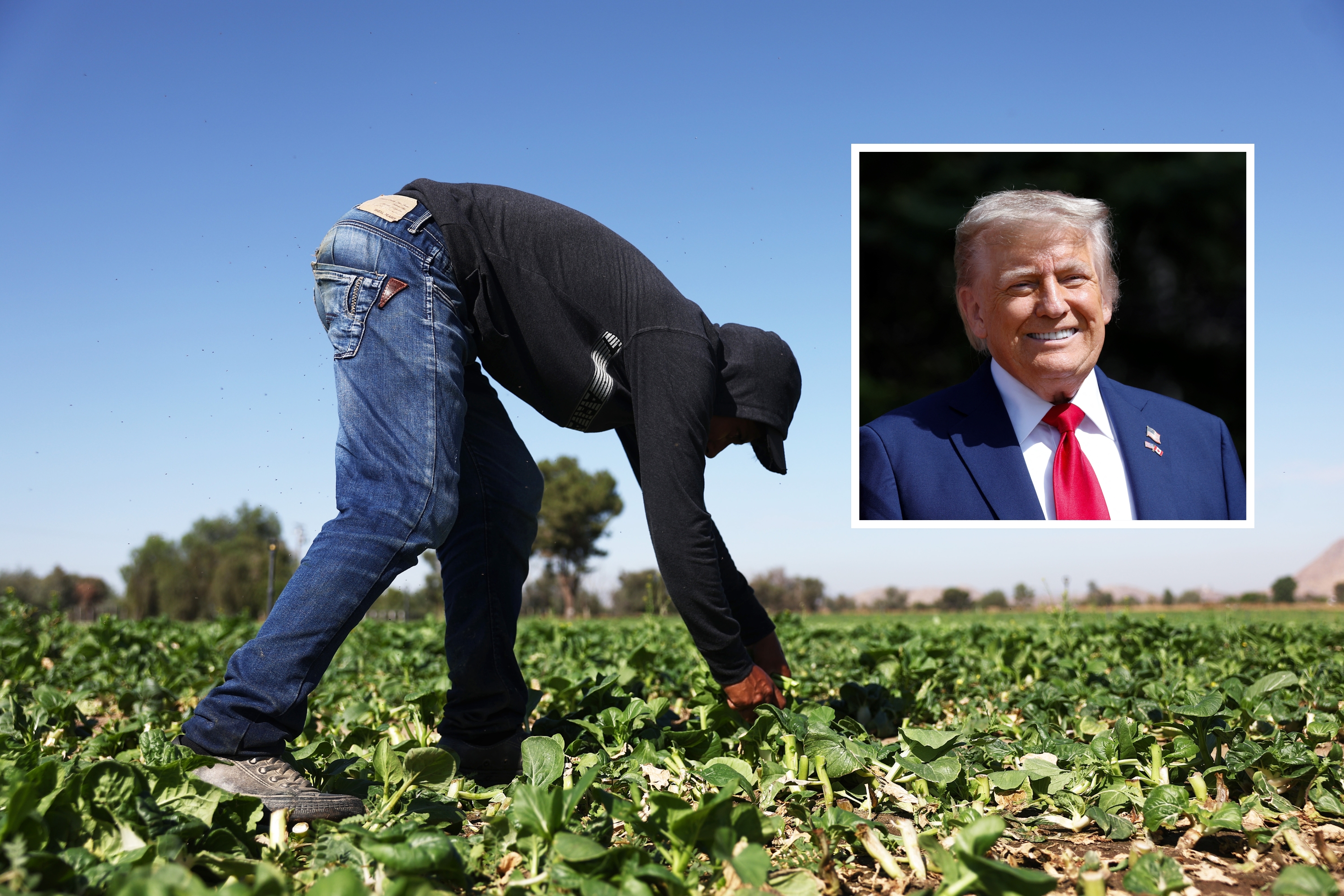 Trumps Deportation Policy Collides With Realities of American Labor Market