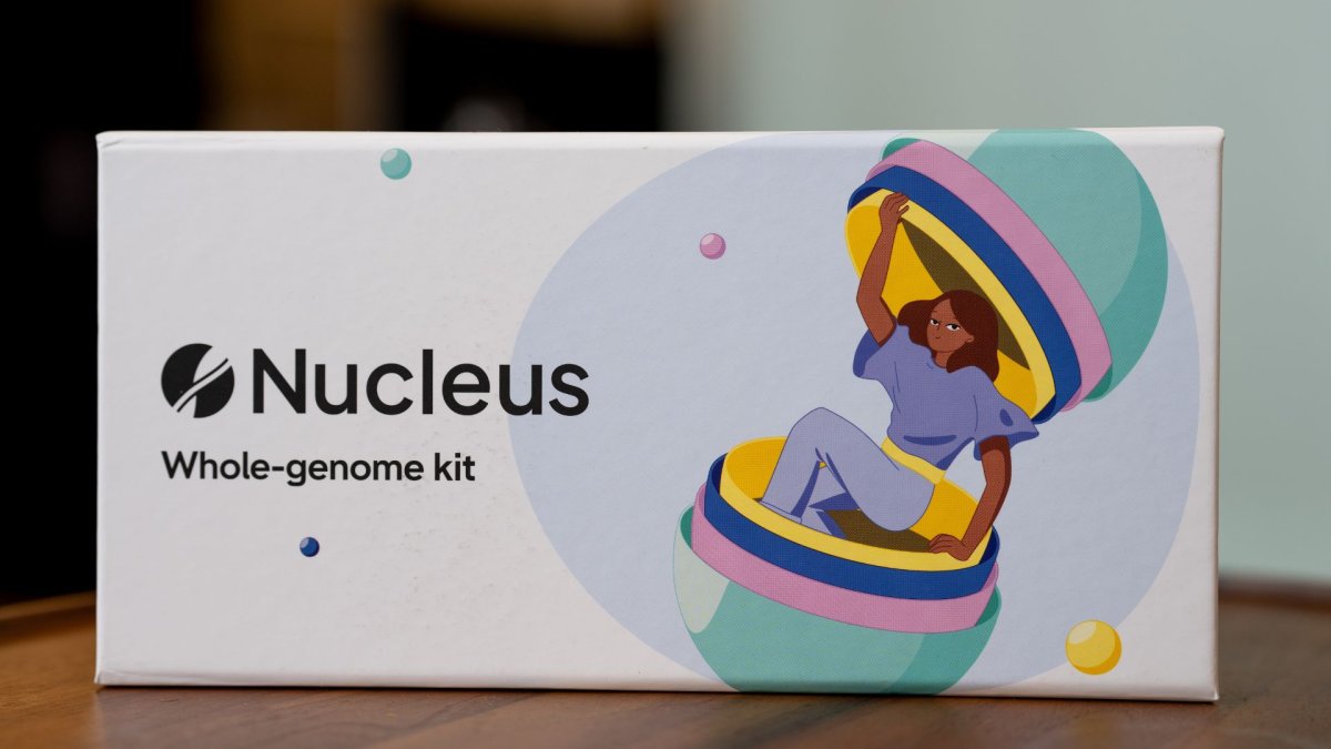 Kit nukleus