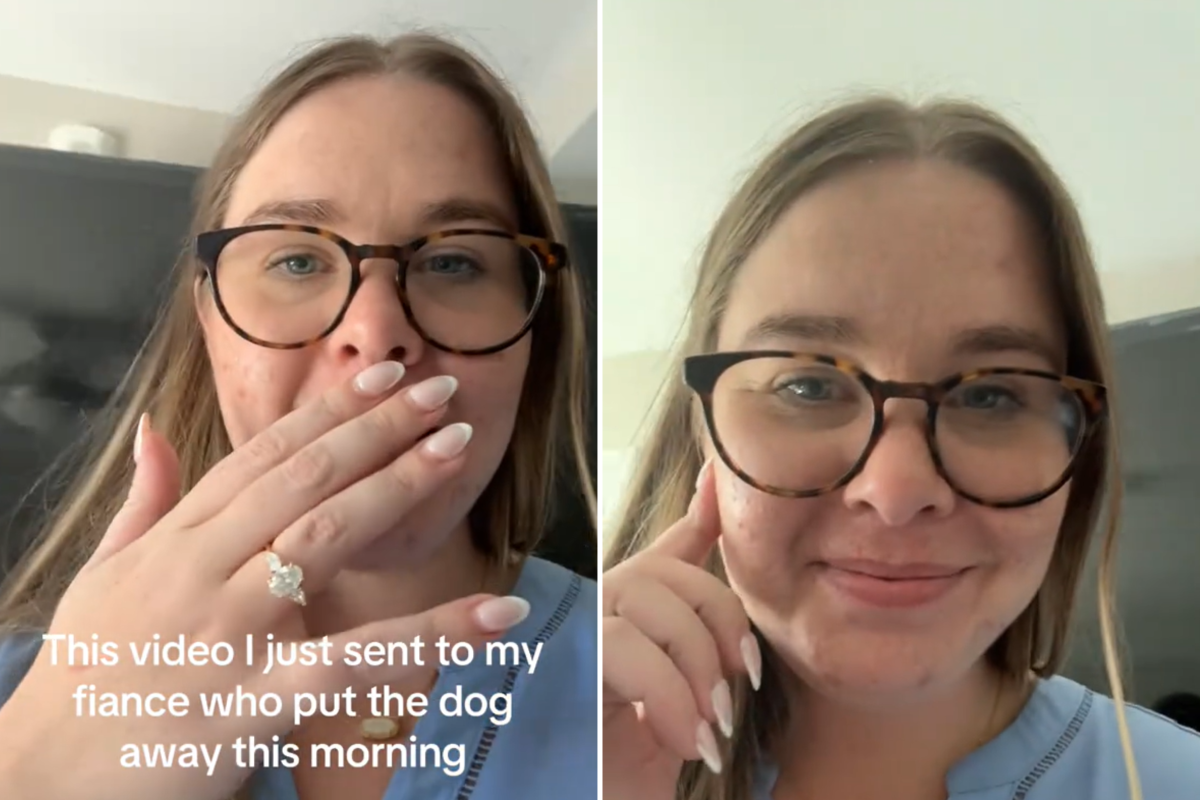 Woman finds cat in crate