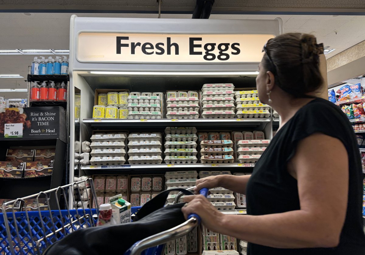 How Recall of 20 Million Eggs Could Affect US Prices - Newsweek