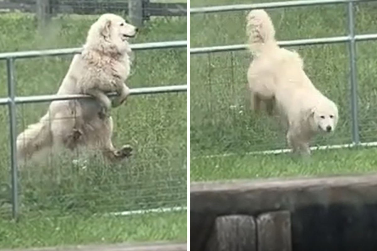 Escaping