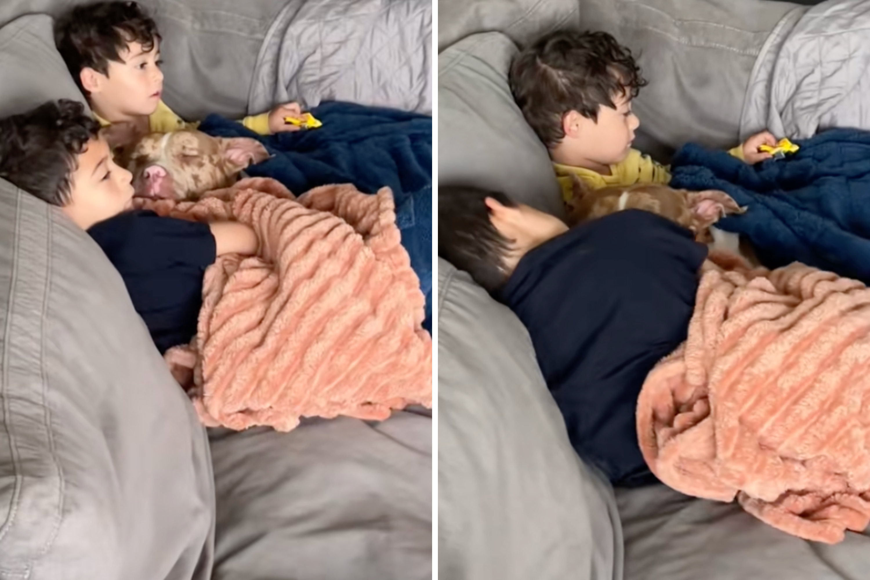 Foster Fail Rescued From Streets Finds Safe Space Between His Tiny Humans