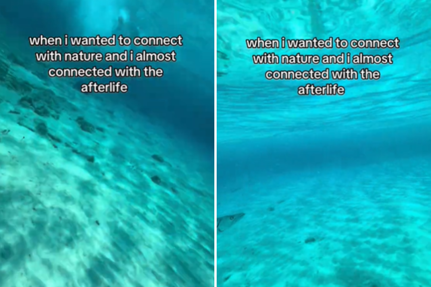 Woman Goes To Connect With Nature, Almost Connects With Afterlife Instead