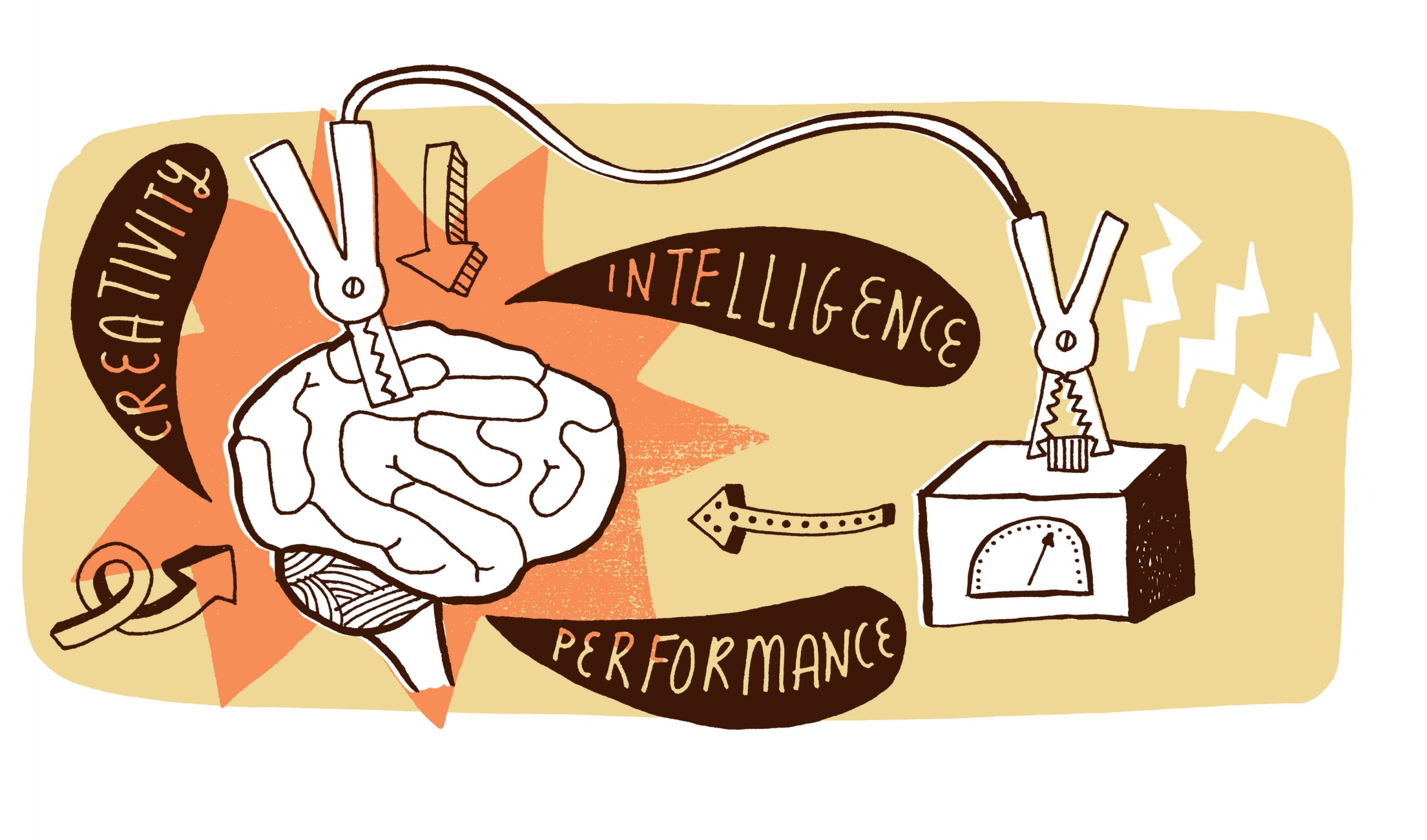 The Ultimate Way to Lose Weight an Electrical Zap to the Brain Newsweek