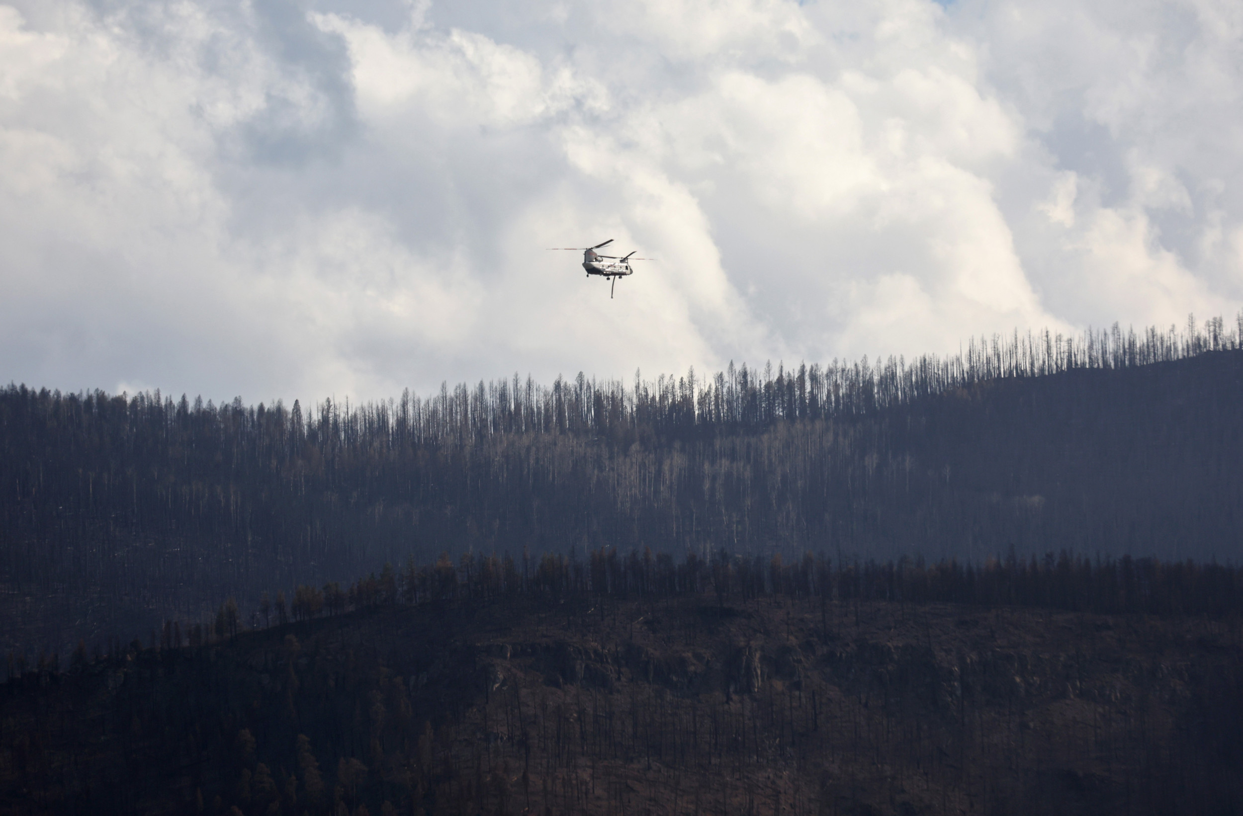 https://d.newsweek.com/en/full/2669934/fire-new-mexico.jpg