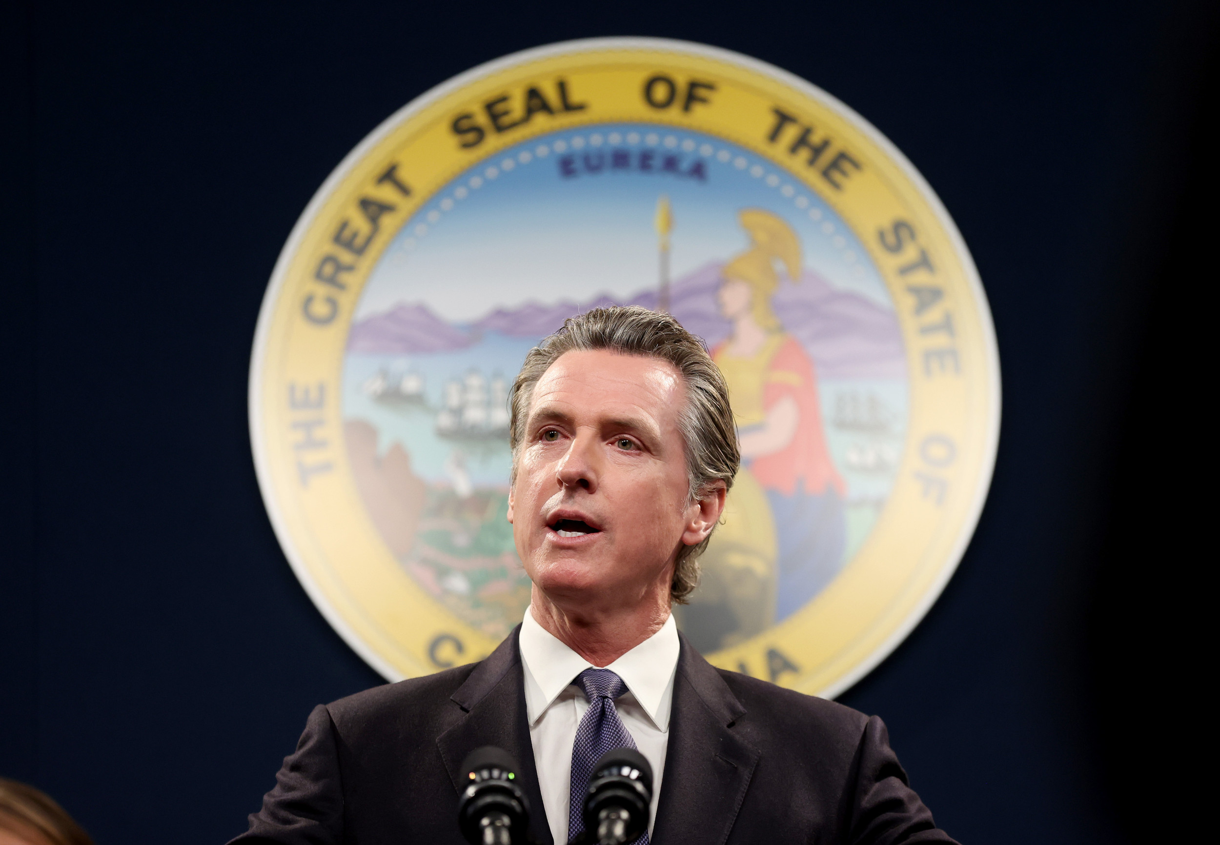 https://d.newsweek.com/en/full/2670590/gavin-newsom.jpg