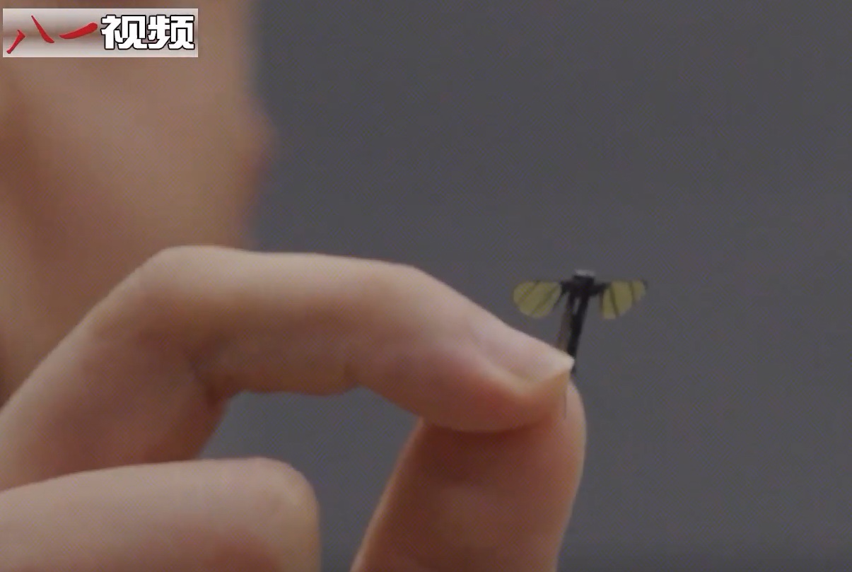 https://d.newsweek.com/en/full/2670829/nudt-student-holds-chinese-microdrone.jpg
