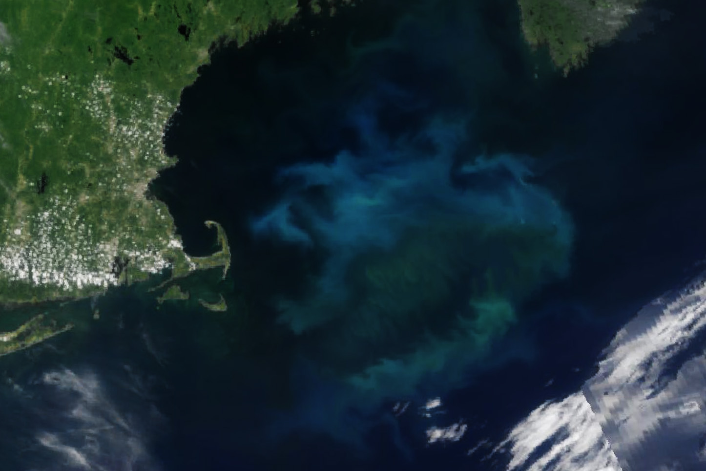 Satellite Image Reveals Unexpected East Coast Phenomena: Impressive