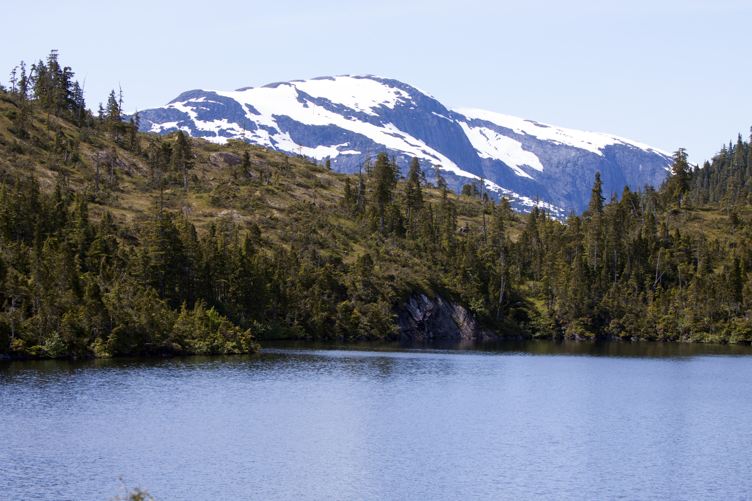 https://d.newsweek.com/en/full/2671712/tongass-national-forest.jpg
