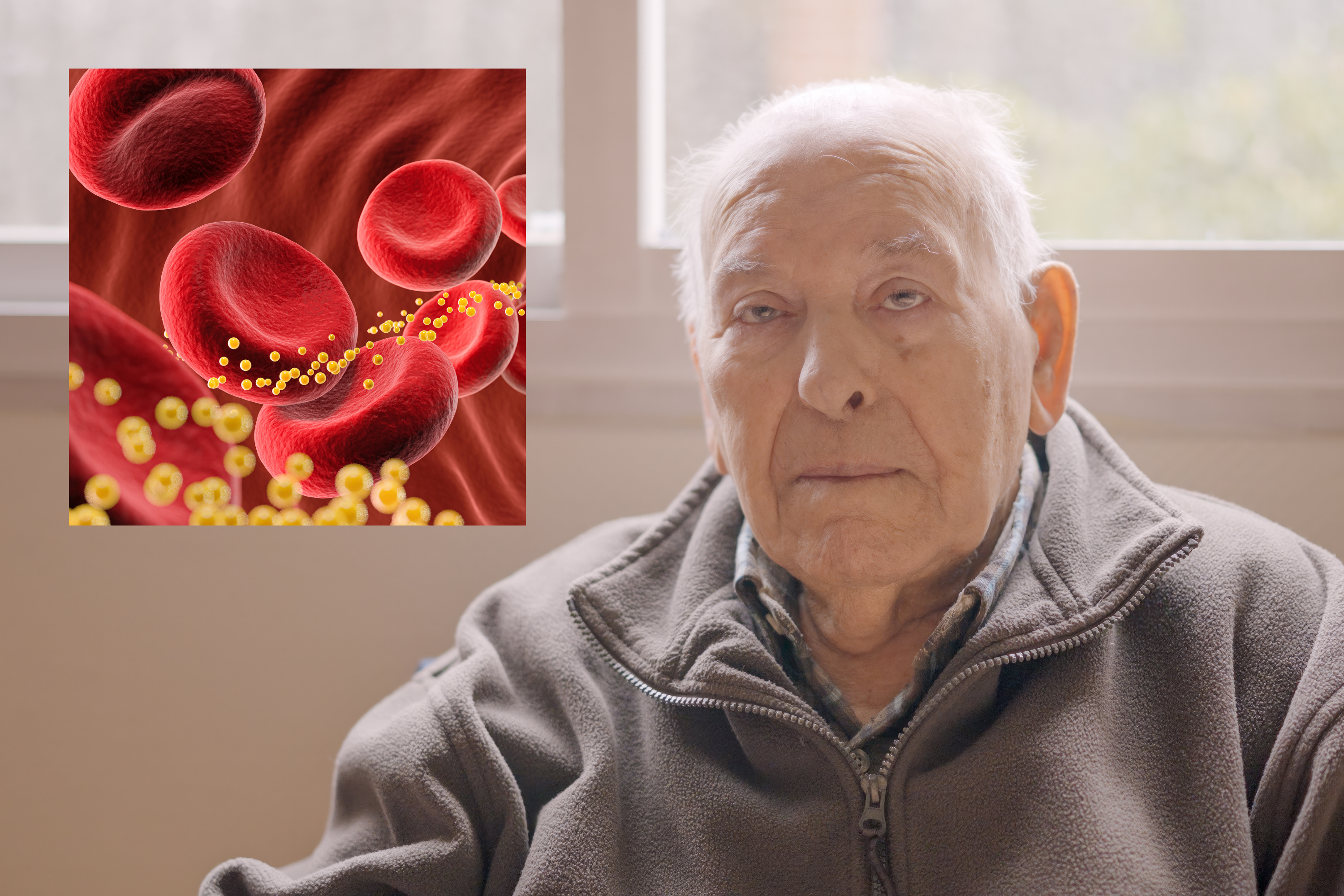 Korea University Identifies Blood Protein Spreading Aging Systemically