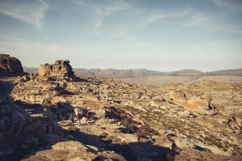 FEA: Rock Climbing cover story