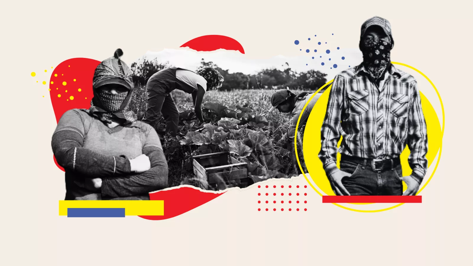 Migrant farm workers says it will be "chaos" without them