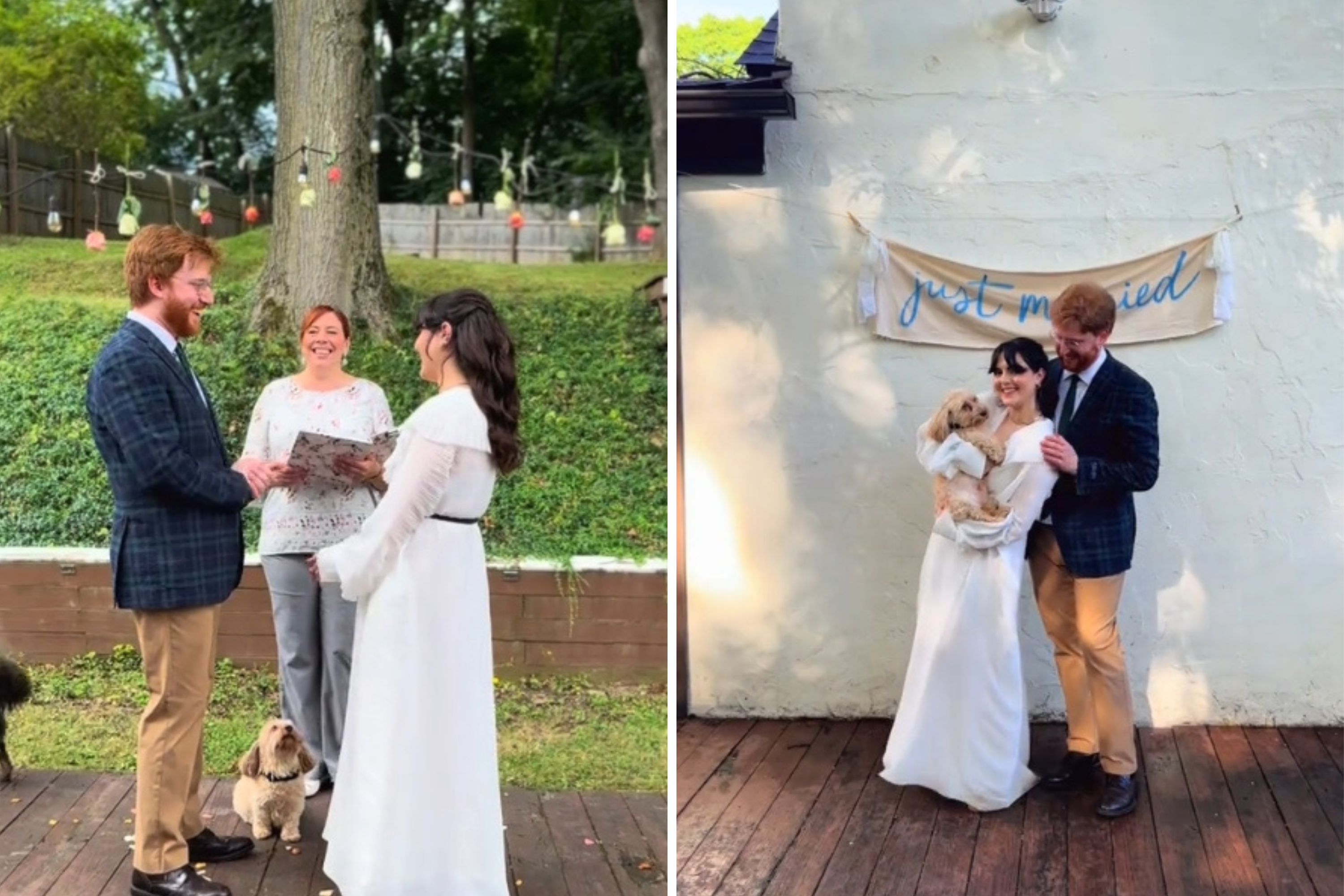 Senior ‘Soul Dog’ Finds Way To Be a Part of Owner’s Wedding