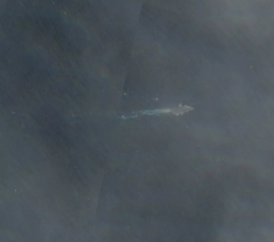 https://d.newsweek.com/en/full/2674657/uss-carl-vinson.webp