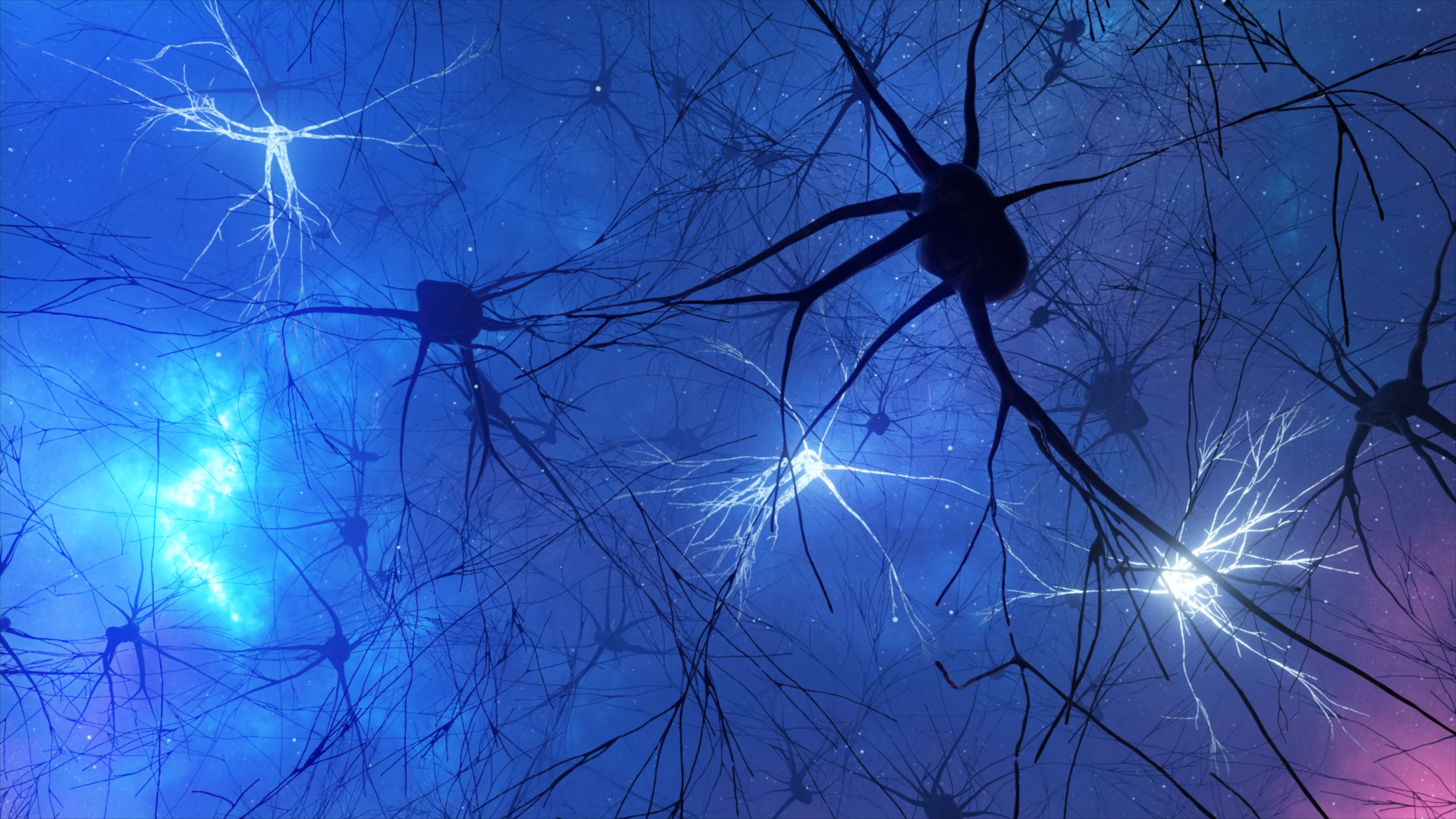 Parkinsons Breakthrough Could Help Prevent Brain Cell Loss