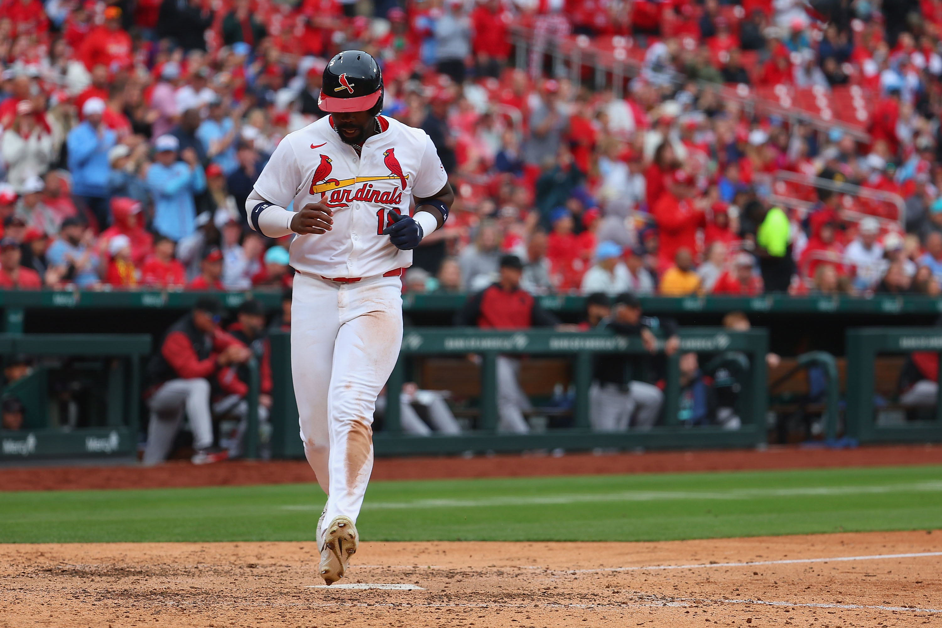 Cardinals Outfielder Nearing Return Following Injured List Stint With  Appendicitis - Newsweek
