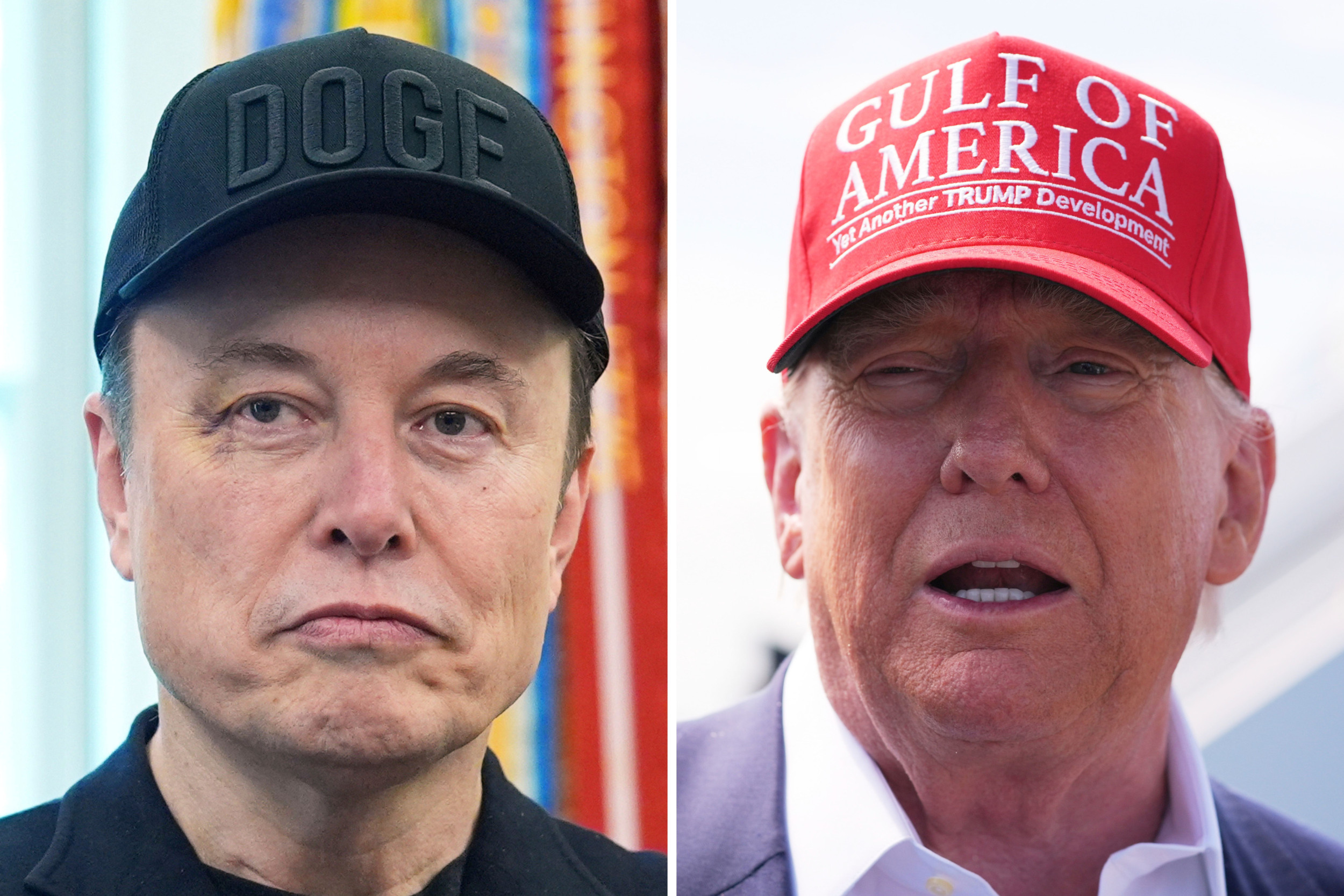 Elon Musk Responds to Trump's 'Back Home to South Africa' Comments