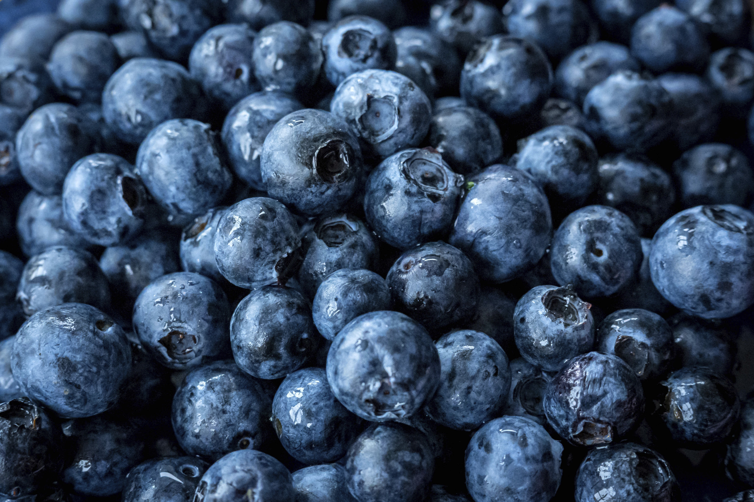 FDA Expands Recall of Alma Pak Blueberries