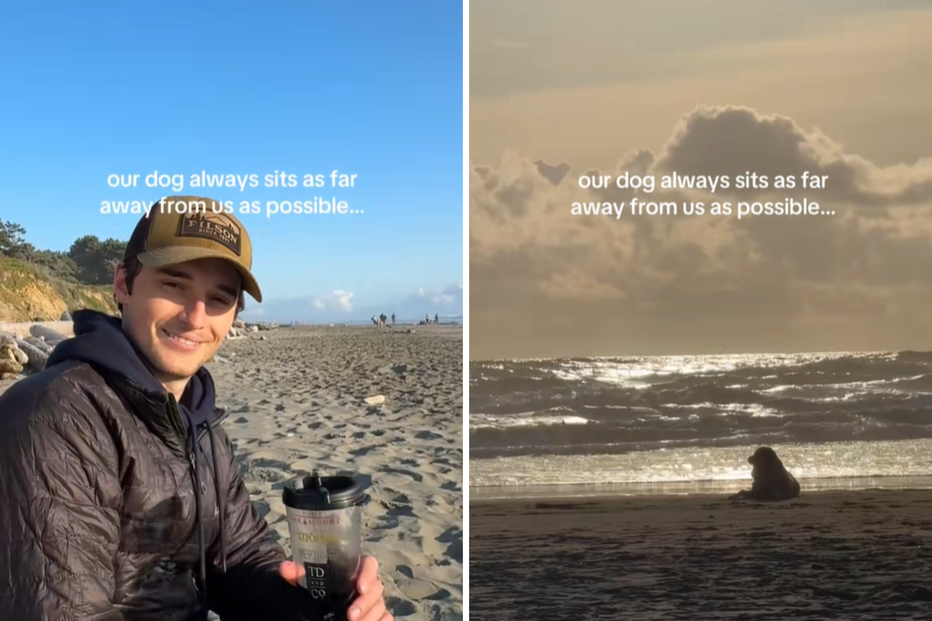 Family Enjoy Beach Trip Together, Dog Has Other Ideas: ‘Independent Queen’