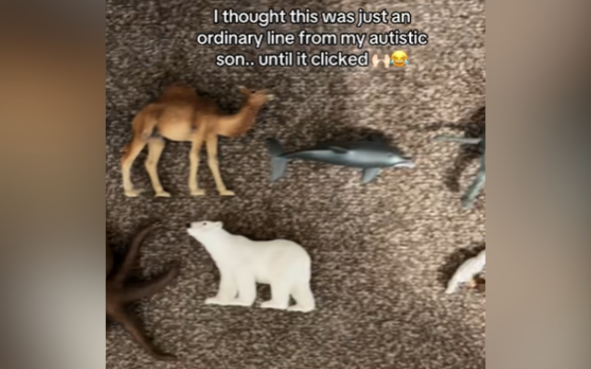 Mom Sees Son Playing With Toy Animals—Then Realizes Whats Really Happening