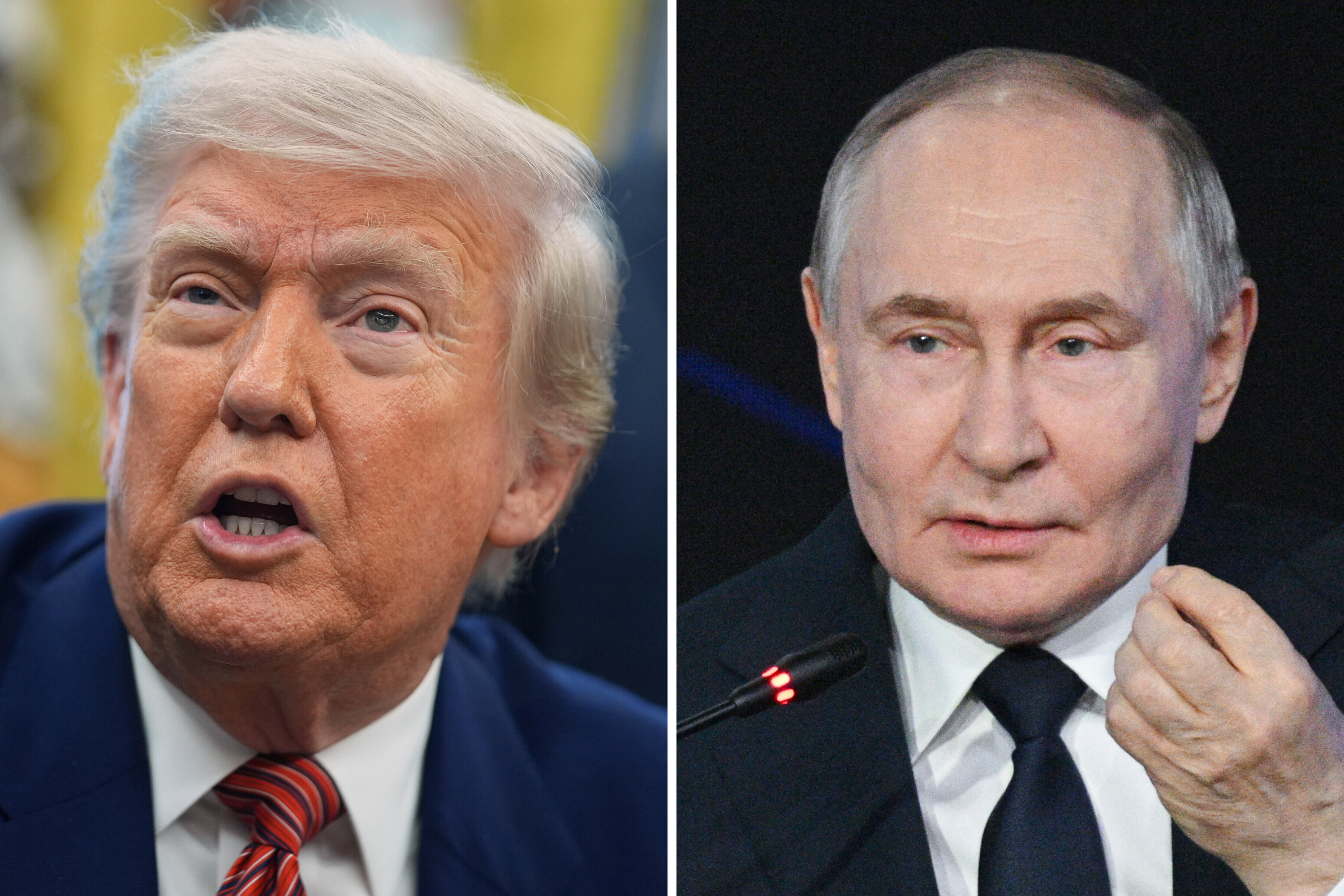 Donald Trump Reveals Details of Vladimir Putin Call