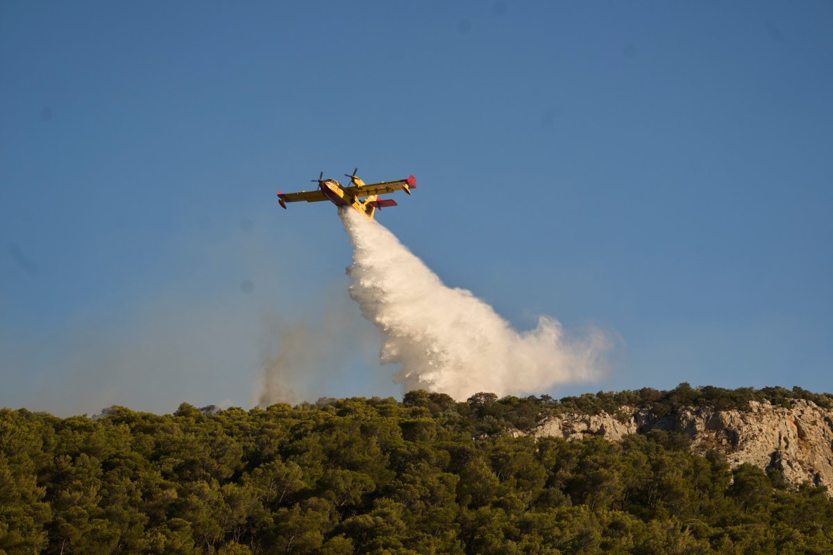 Grécia Wildfire