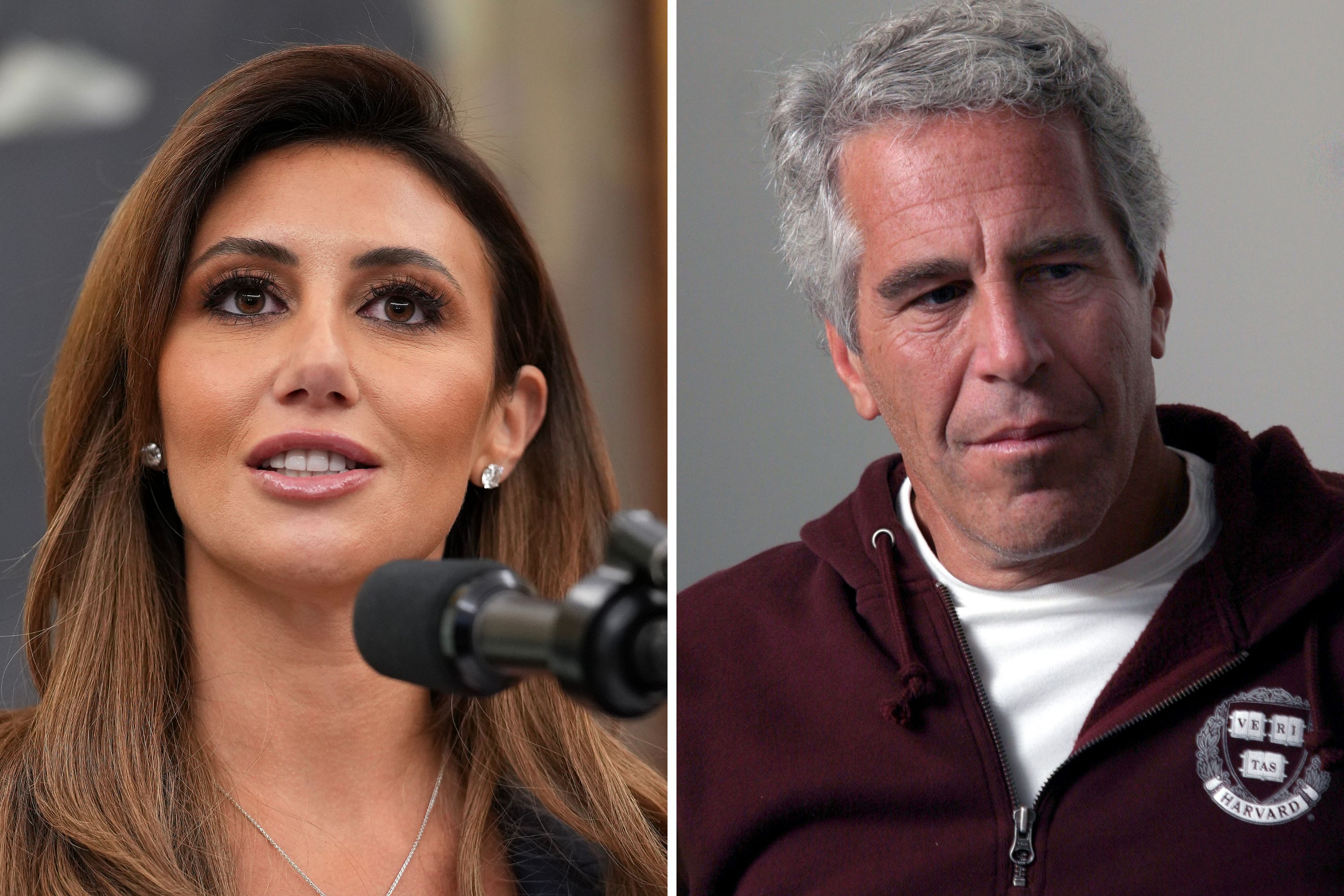 https://d.newsweek.com/en/full/2678273/alina-habba-jeffrey-epstein.jpg